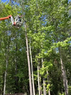 Under The Sun Landscaping Logo