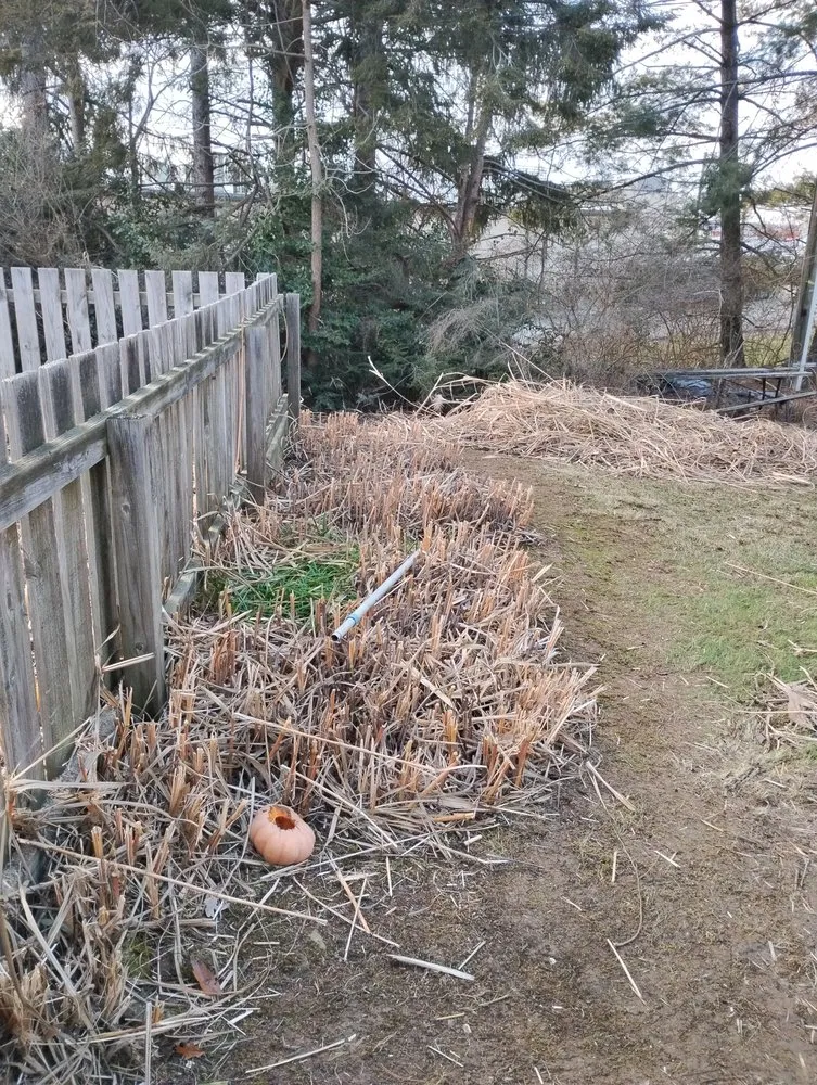 Reliable landscape installation in Zanesville, OH by Under the Sun Property Services