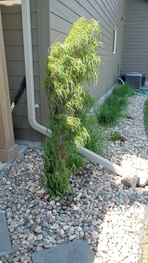 Affordable outdoor landscaping in Sioux Falls, SD by Underbergs Home And Lawn Care