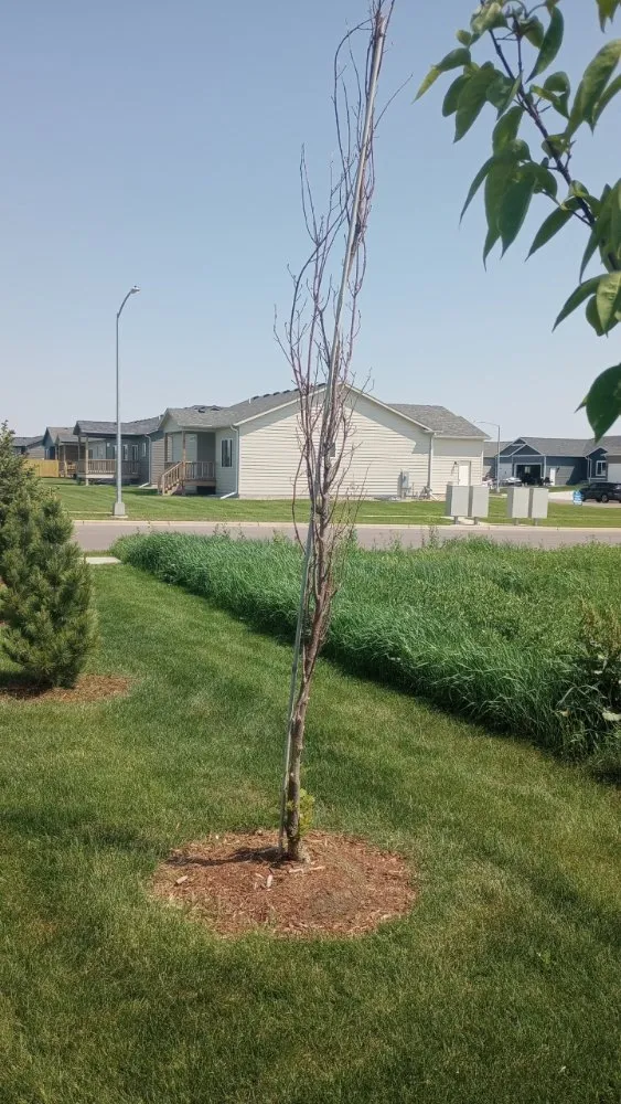 Professional garden landscaping in Sioux Falls, SD by Underbergs Home And Lawn Care