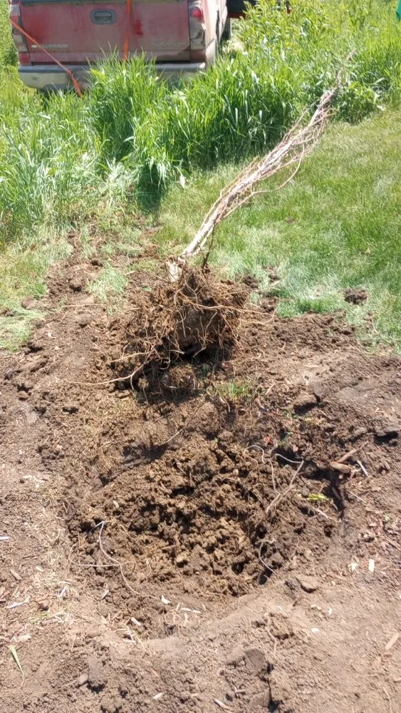 Affordable landscape installation experts serving Sioux Falls, SD - Underbergs Home And Lawn Care