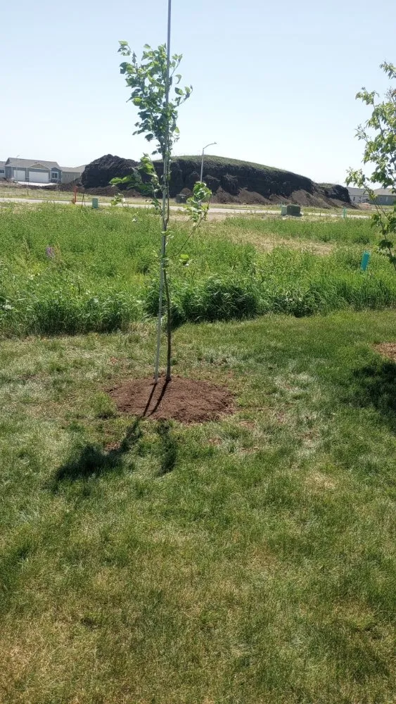 Top-rated landscaping services for homes across Sioux Falls, SD - Underbergs Home And Lawn Care