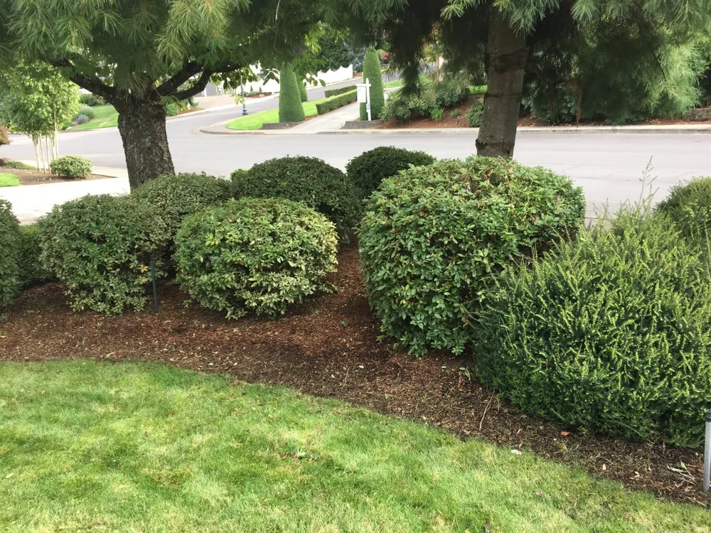Affordable lawn mowing service in Vancouver, WA - Undercover Landscape Maintenance