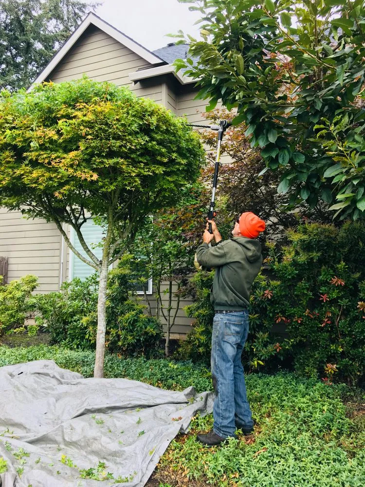 Professional garden landscaping in Vancouver, WA - Undercover Landscape Maintenance