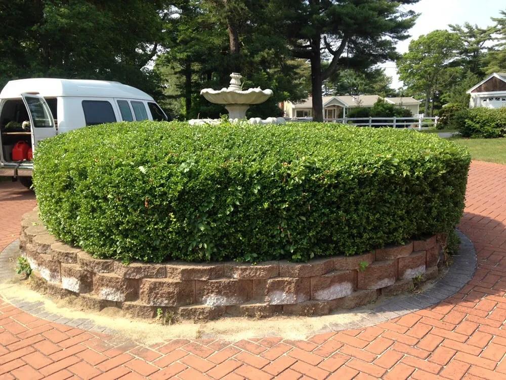 Professional lawn mowing service in Forestdale, MA by Undercuts Landscaping