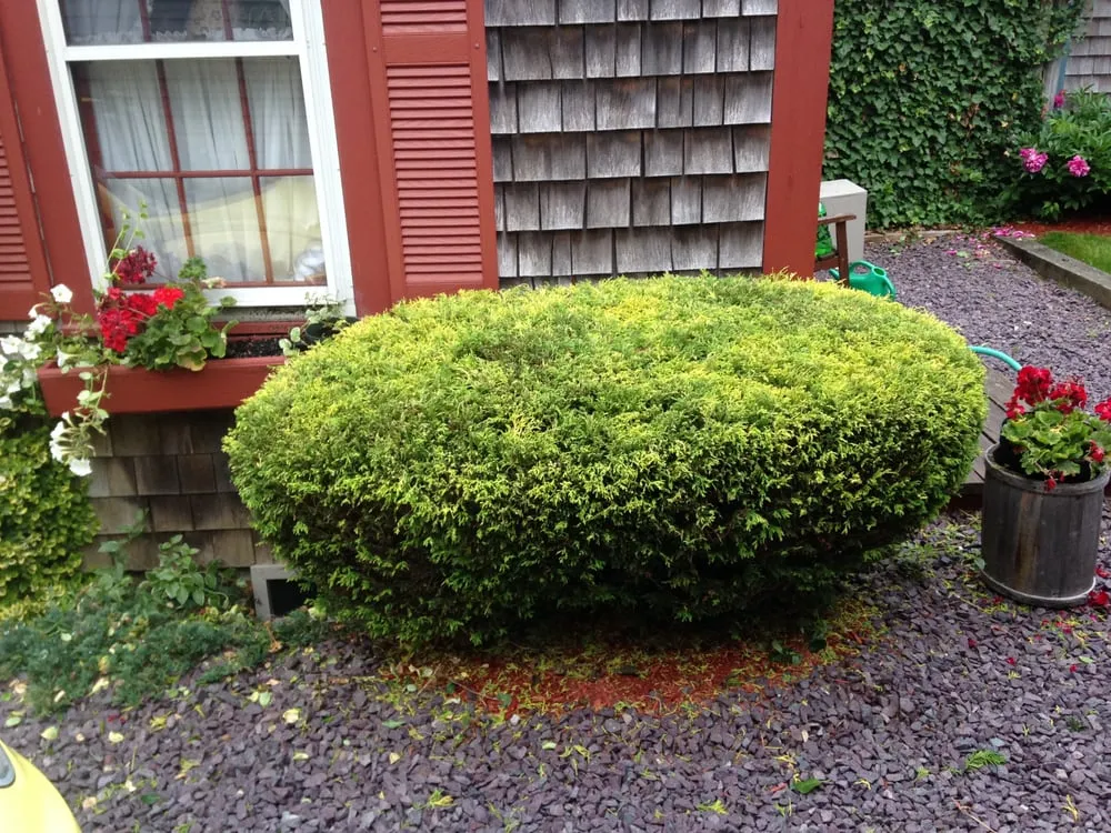 Top-rated landscape installation in Forestdale, MA by Undercuts Landscaping