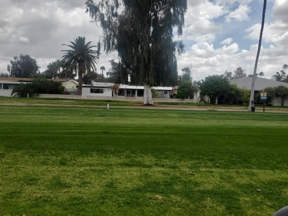 Trusted lawn care service in Mesa, AZ by Undercuts Landscaping