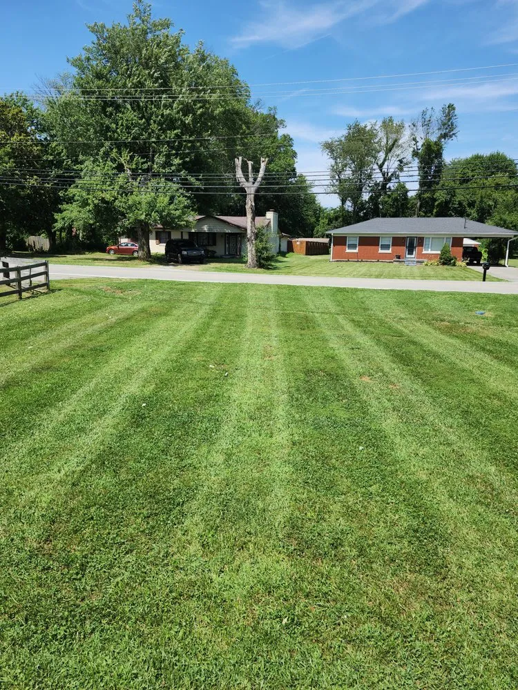 Affordable outdoor landscaping for outdoor upgrades in Louisville, KY by Undercuts lawn care and property services
