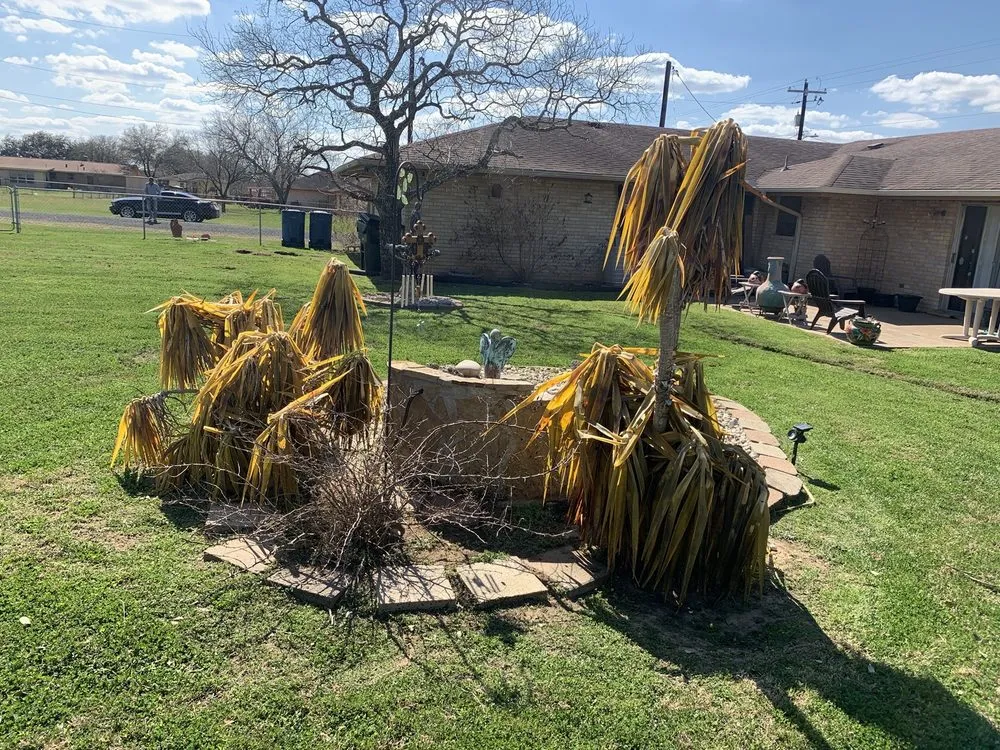 Reliable yard maintenance in Poth, TX by Undercutter Lawn Care