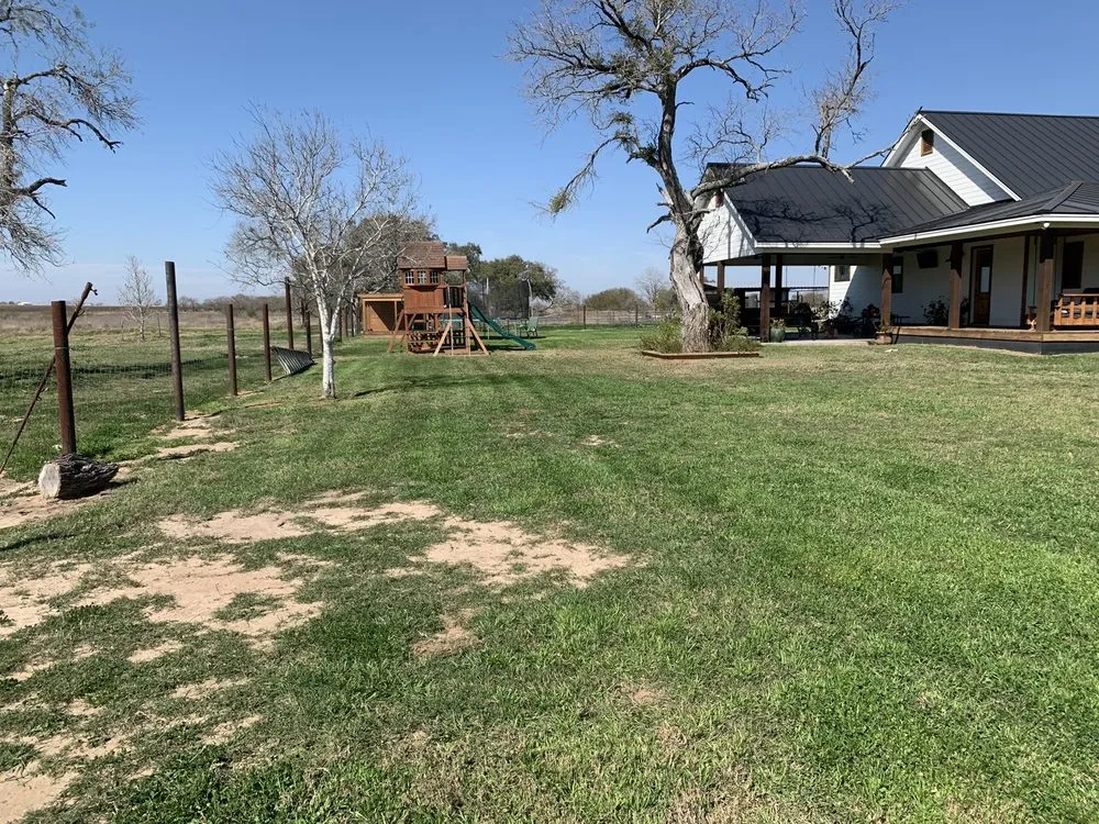 Local yard cleanup service for year-round maintenance in Poth, TX by Undercutter Lawn Care