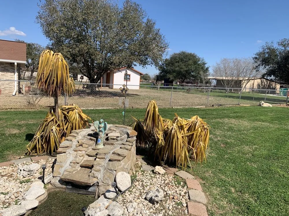 Local landscaping services experts serving Poth, TX - Undercutter Lawn Care