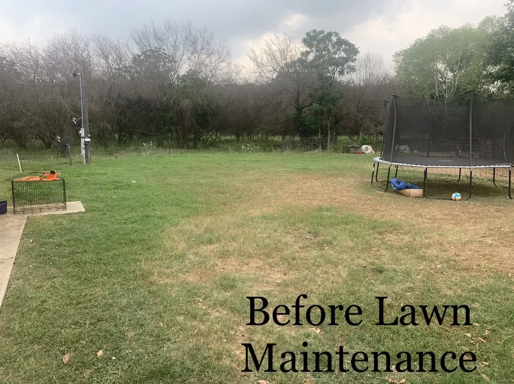 Top-rated landscaping services for year-round maintenance across Poth, TX - Undercutter Lawn Care