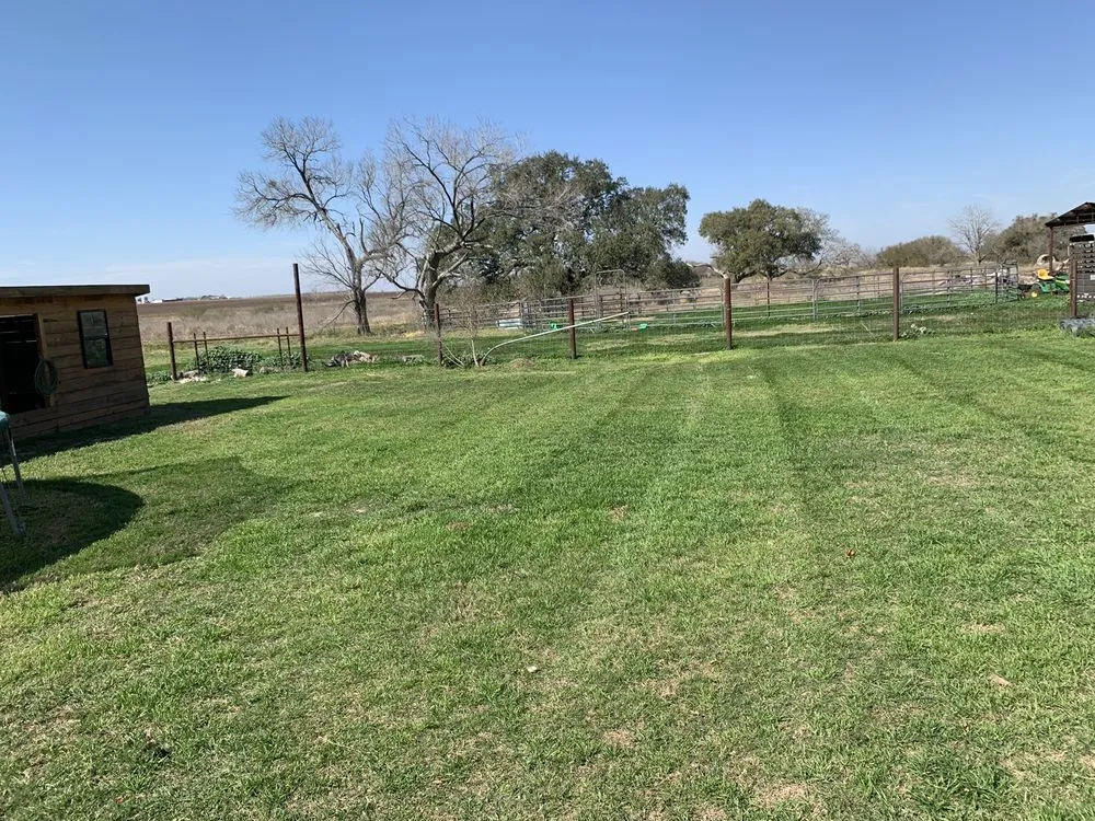 Reliable landscape design near you in Poth, TX by Undercutter Lawn Care