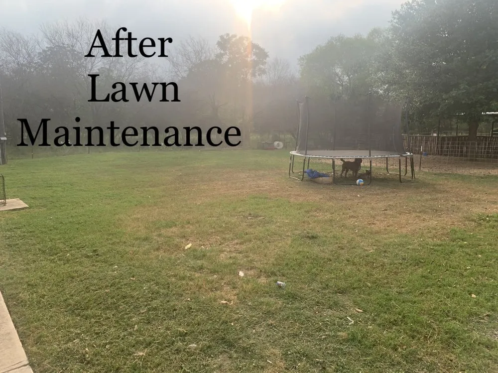 Top-rated landscape design in Poth, TX by Undercutter Lawn Care