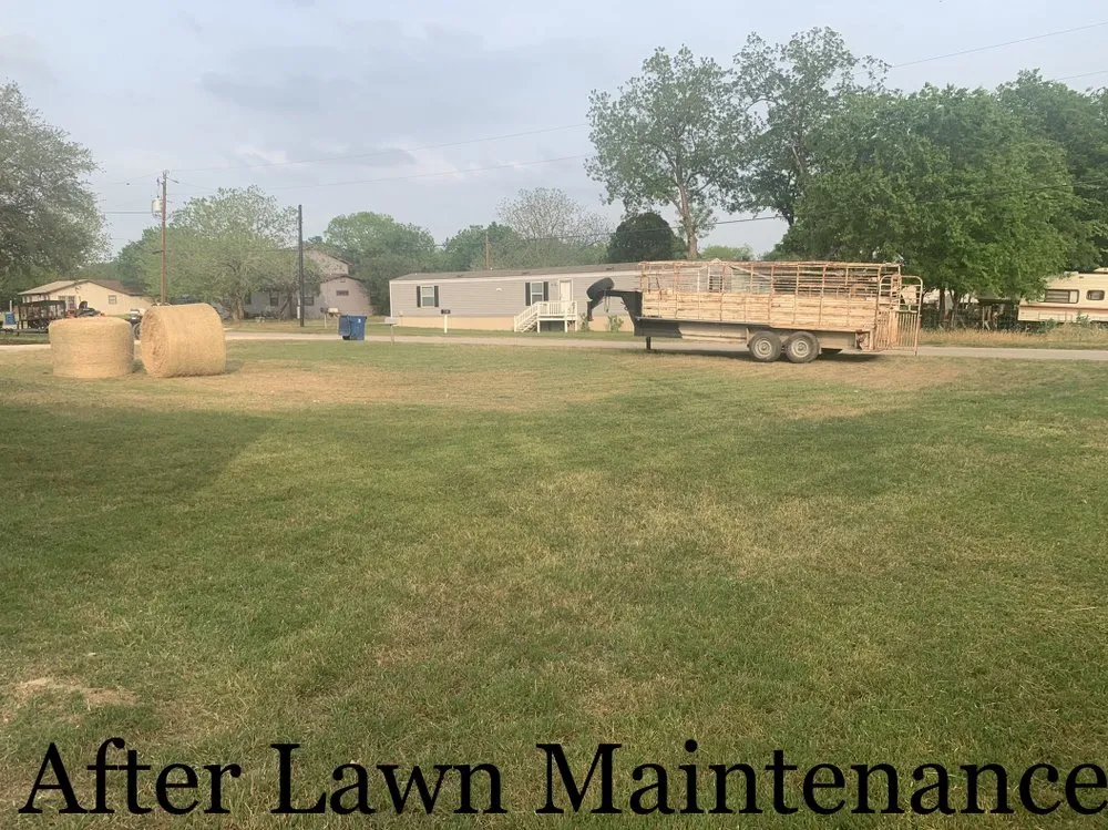 Reliable yard cleanup service for residential properties in Poth, TX by Undercutter Lawn Care