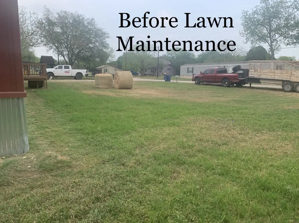 Reliable yard maintenance experts serving Poth, TX - Undercutter Lawn Care