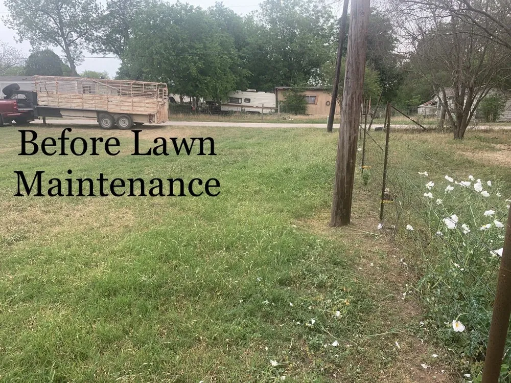 Local lawn care service experts serving Poth, TX - Undercutter Lawn Care