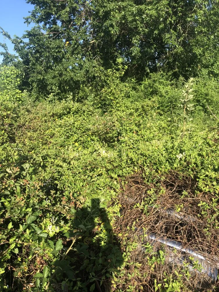 Trusted garden landscaping for outdoor upgrades across Fort Gibson, OK - Undercutter Power Washing And Landscaping