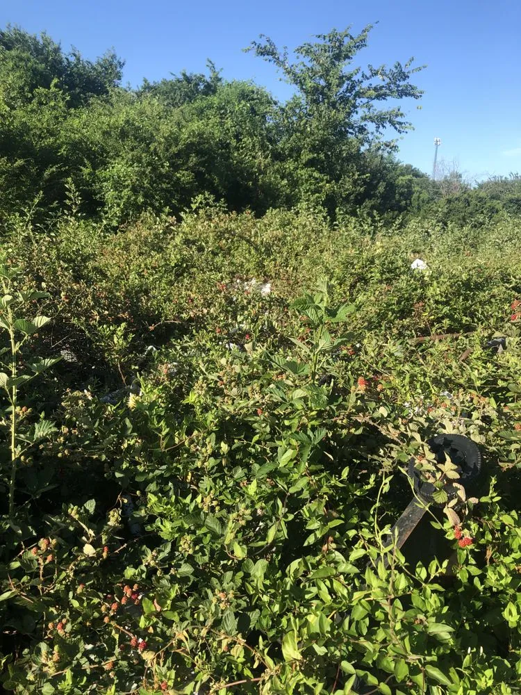 Local landscape installation for beautiful yards across Fort Gibson, OK - Undercutter Power Washing And Landscaping