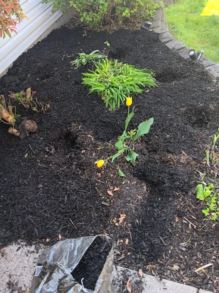 Custom landscape design for beautiful yards across York, PA - Undercutters Landscaping