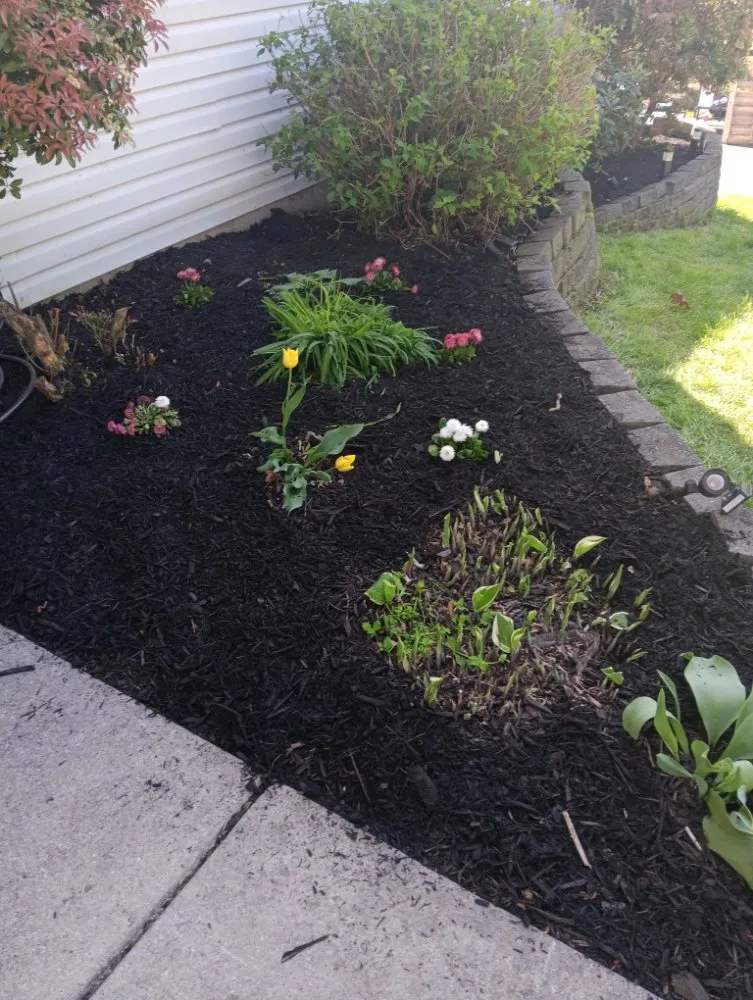 Reliable lawn mowing service for outdoor upgrades across York, PA - Undercutters Landscaping