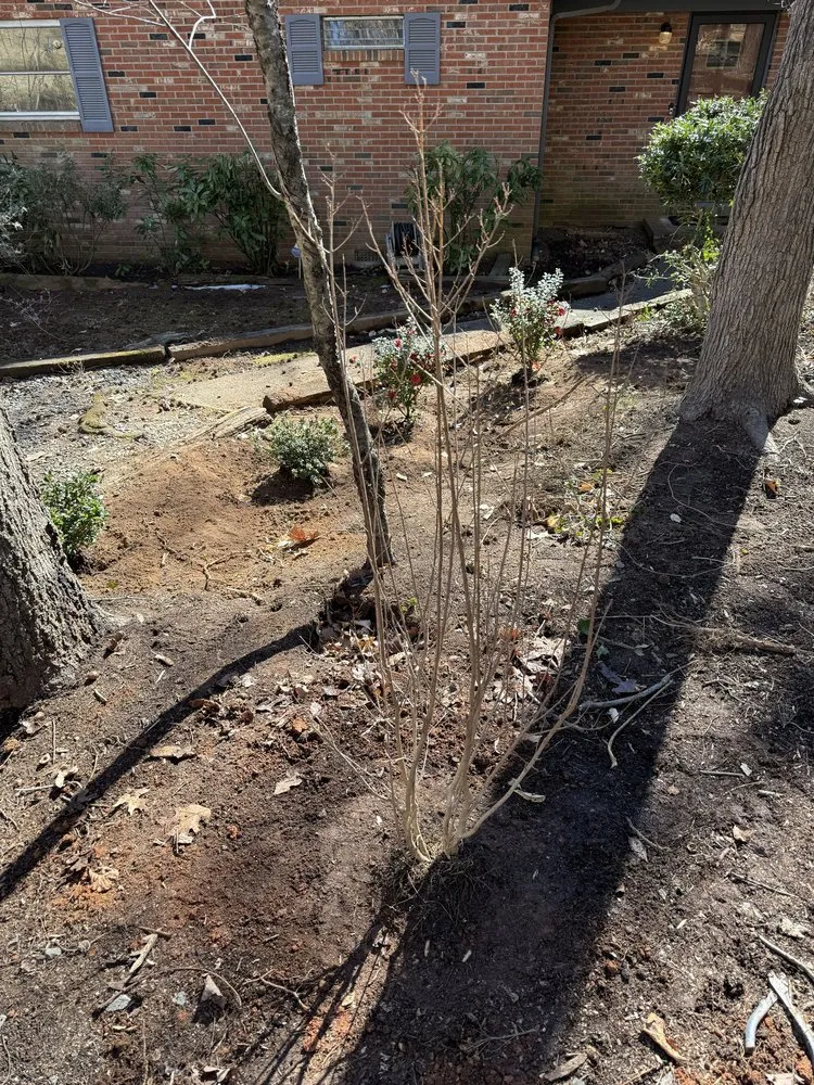 Expert yard maintenance in Charlotte, NC - Underdog Landscaping