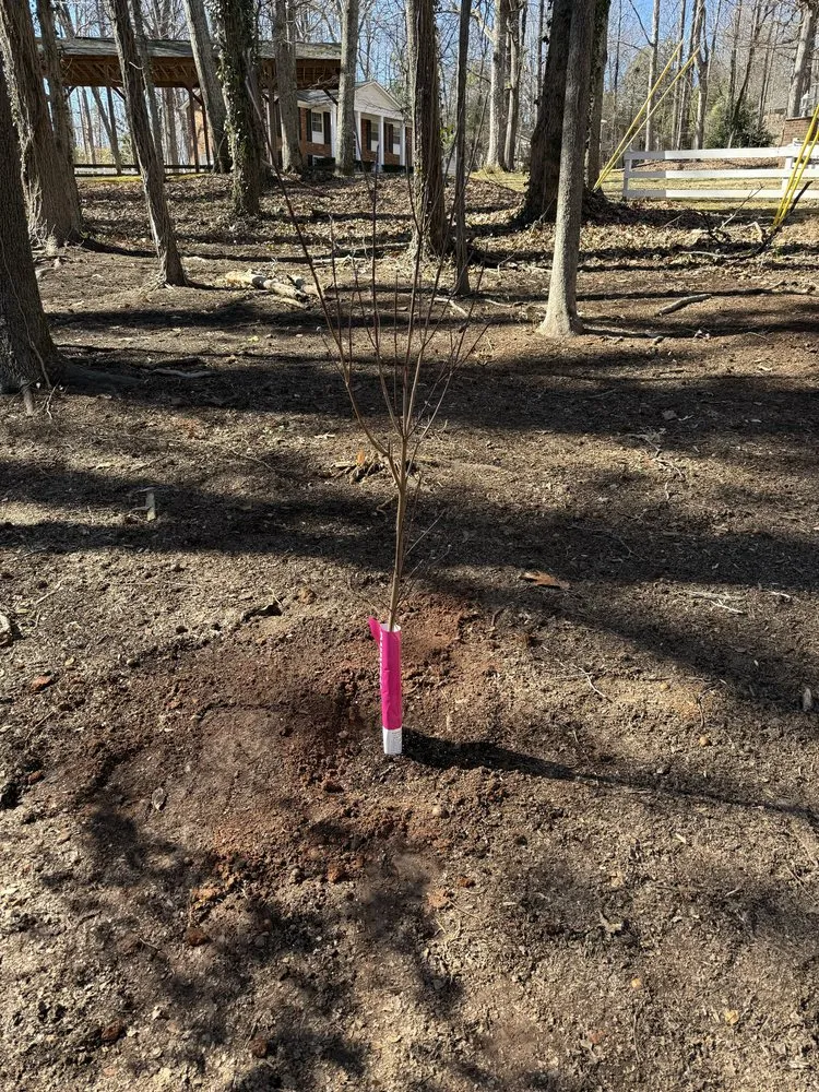 Affordable lawn care service for year-round maintenance in Charlotte, NC by Underdog Landscaping