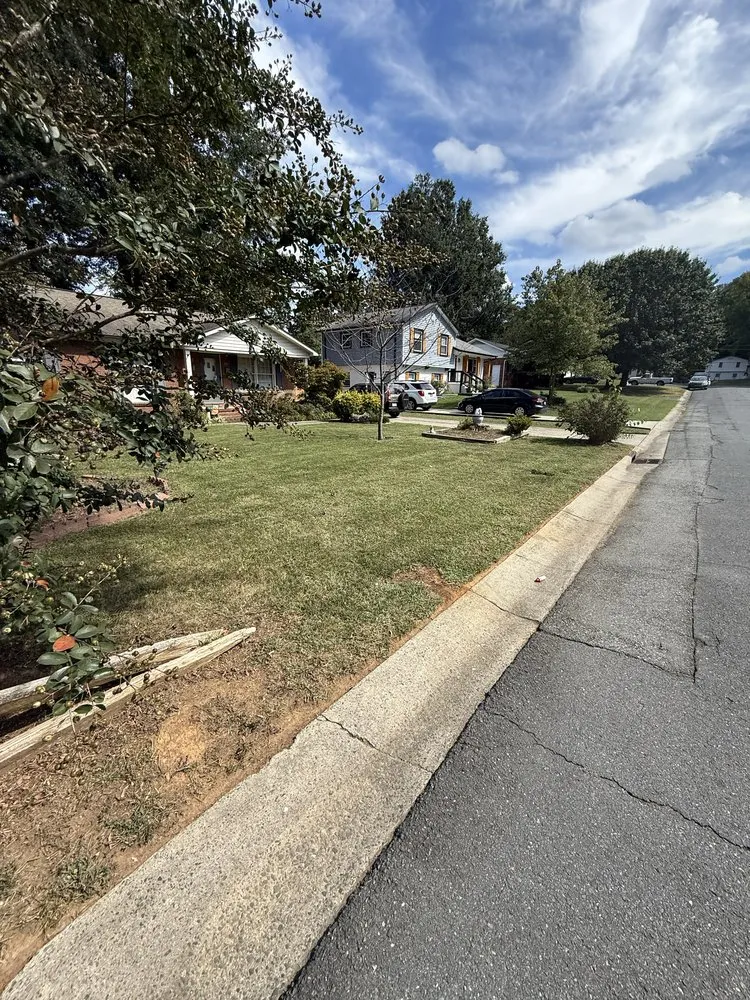 Top-rated garden landscaping for homes in Charlotte, NC by Underdog Landscaping