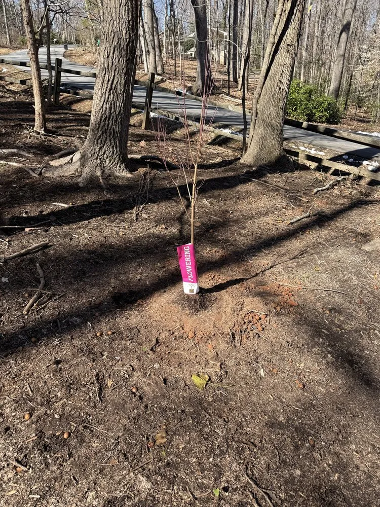 Reliable landscape installation experts serving Charlotte, NC - Underdog Landscaping