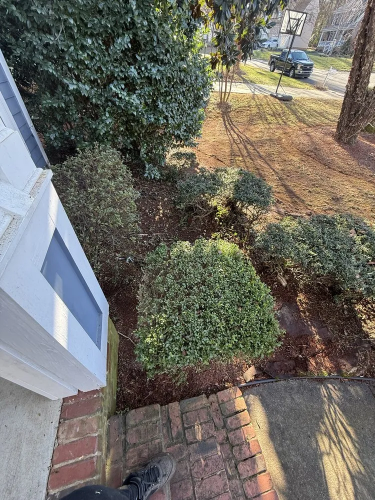 Expert lawn care service with custom design across Charlotte, NC - Underdog Landscaping