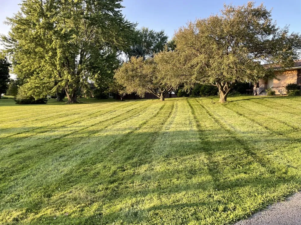 Custom lawn care service for residential properties in Monroe, NC by Underdog Outdoor Services