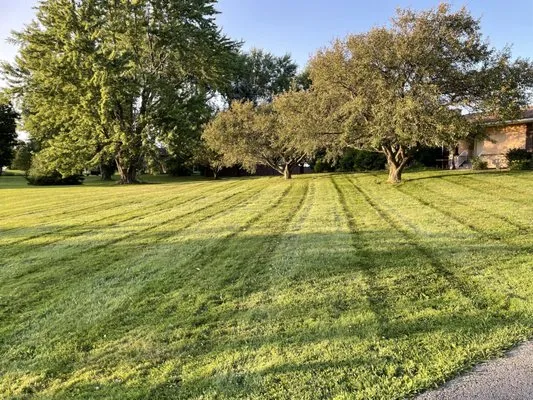 Underdog Outdoor Services Logo