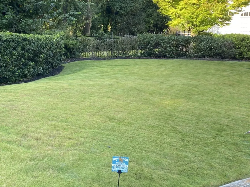 Professional landscape installation with custom design in Fairburn, GA by Underdog Spraying