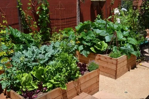 Top-rated garden landscaping for outdoor upgrades across Cordova, TN - Underfoot Solutions