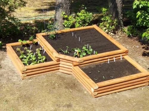 Local landscape design in Cordova, TN by Underfoot Solutions