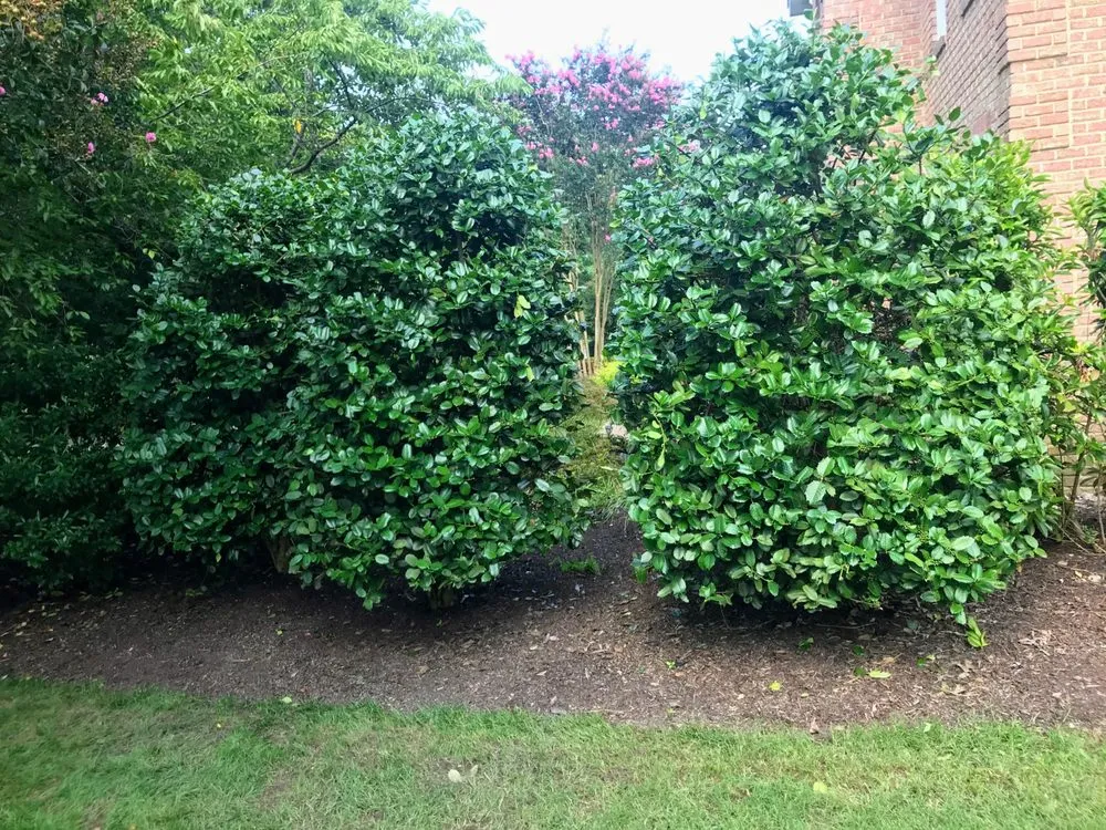 Affordable landscape installation in Virginia Beach, VA - Underground Landscaping