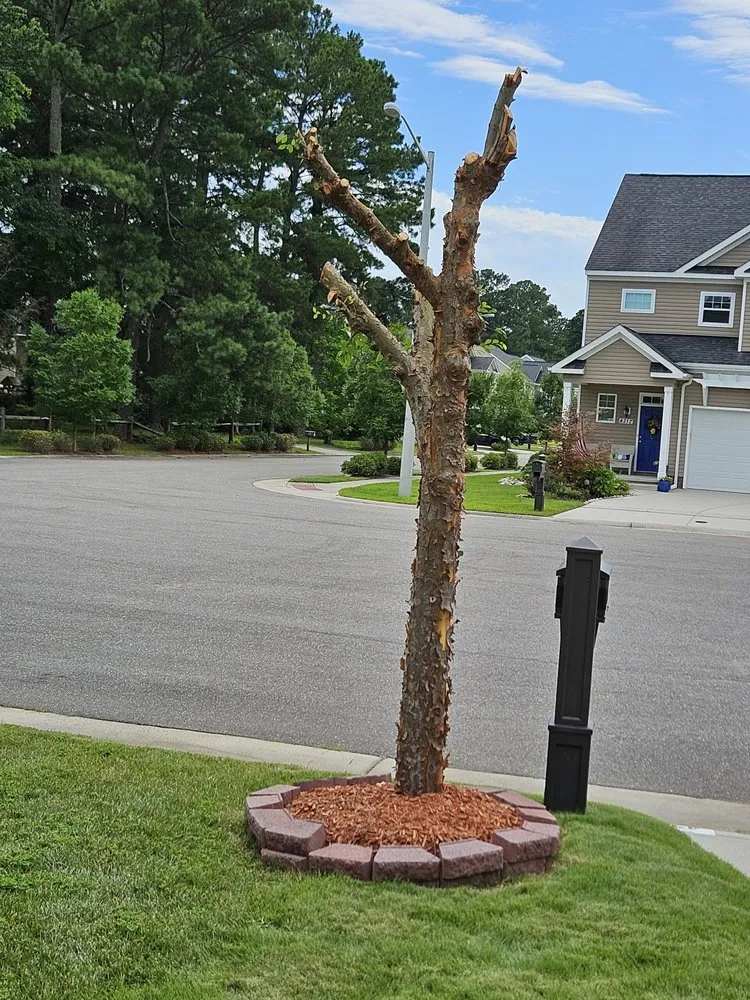 Expert landscape installation near you in Virginia Beach, VA by Underground Landscaping