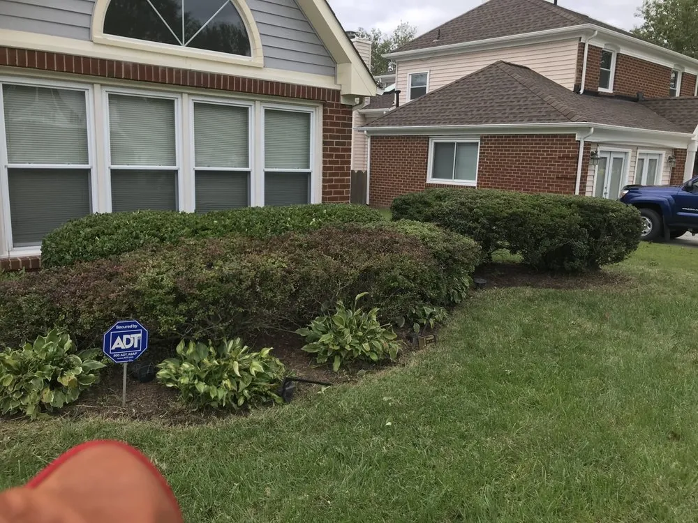 Reliable yard cleanup service in Virginia Beach, VA by Underground Landscaping