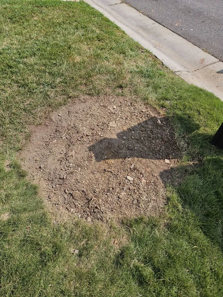 Custom garden landscaping with custom design across Virginia Beach, VA - Underground Landscaping