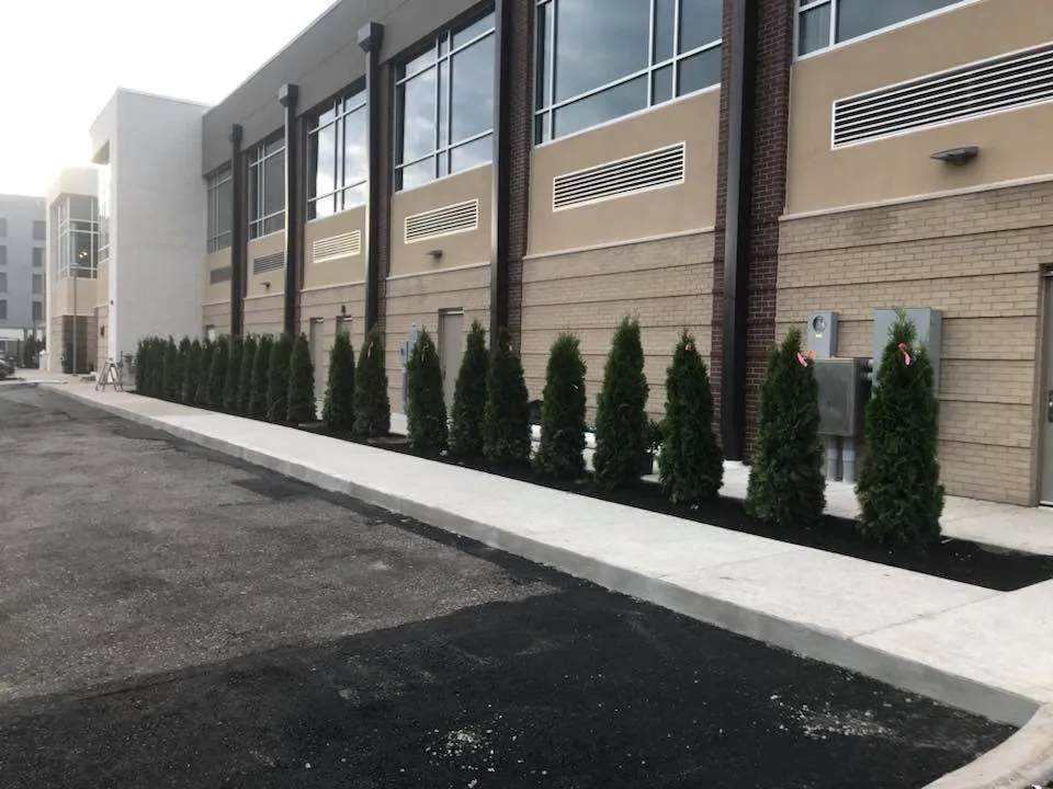 Professional residential landscaping in Mount Juliet, TN by Underhill Lawn Care