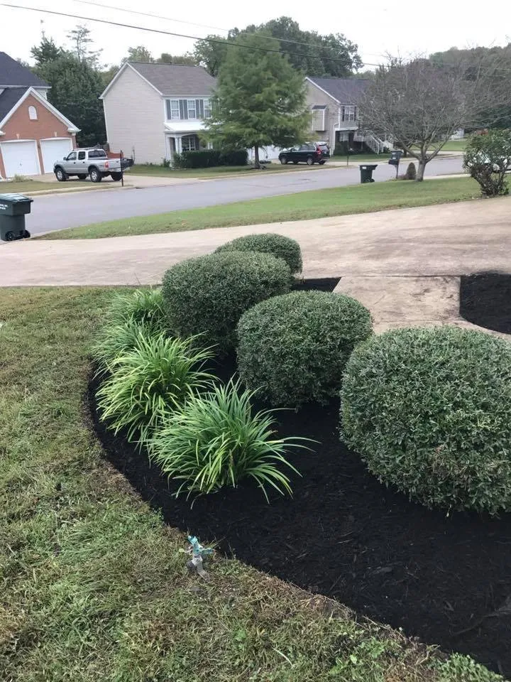 Top-rated landscaping services in Mount Juliet, TN - Underhill Lawn Care