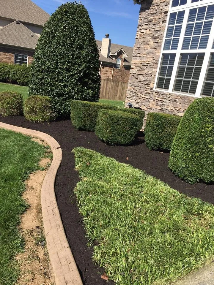 Top-rated yard cleanup service with custom design across Mount Juliet, TN - Underhill Lawn Care