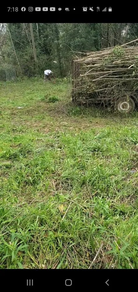 Custom yard cleanup service in Columbus, MS by Underneath Me