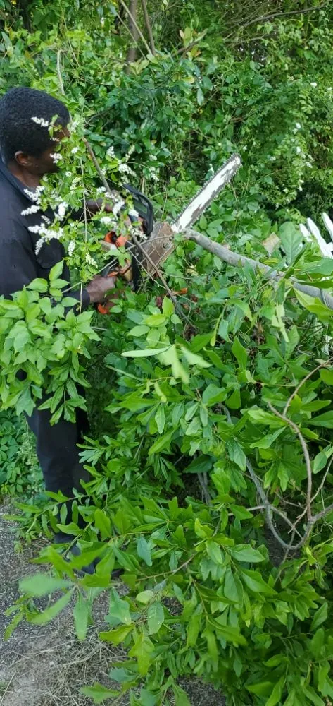 Top-rated landscape installation in Columbus, MS - Underneath Me