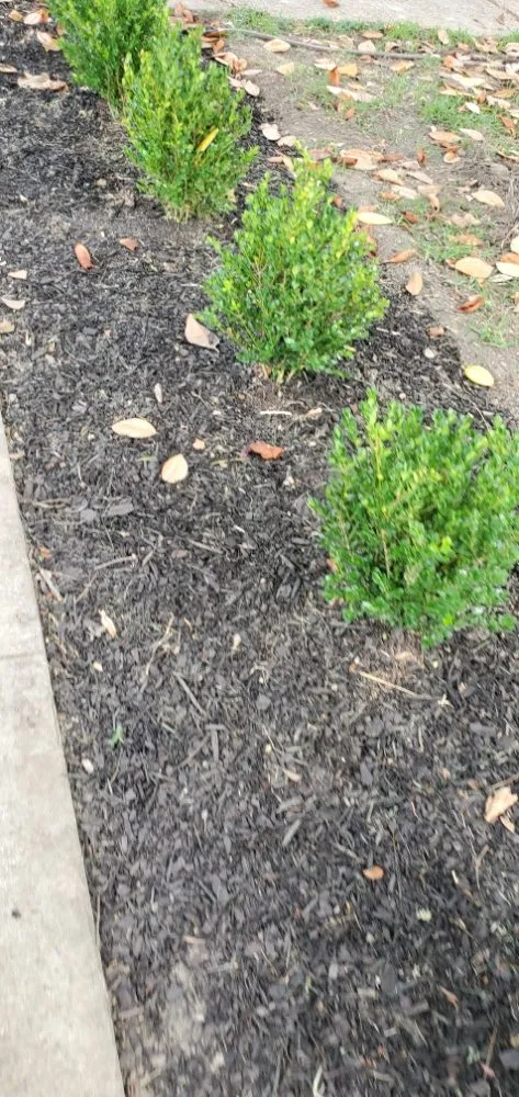 Top-rated garden landscaping for beautiful yards across Columbus, MS - Underneath Me