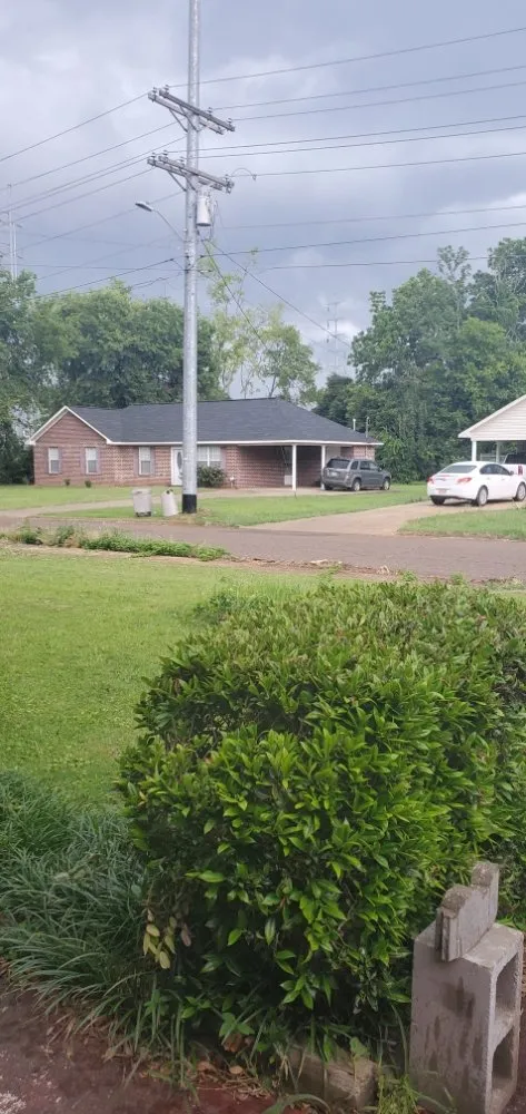 Professional outdoor landscaping for homes in Columbus, MS by Underneath Me