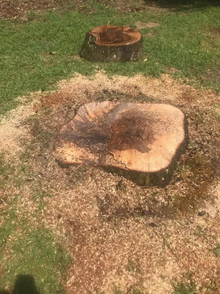 Top-rated lawn care service for year-round maintenance across Broken Bow, OK - Underwood Lawn and Tree Service