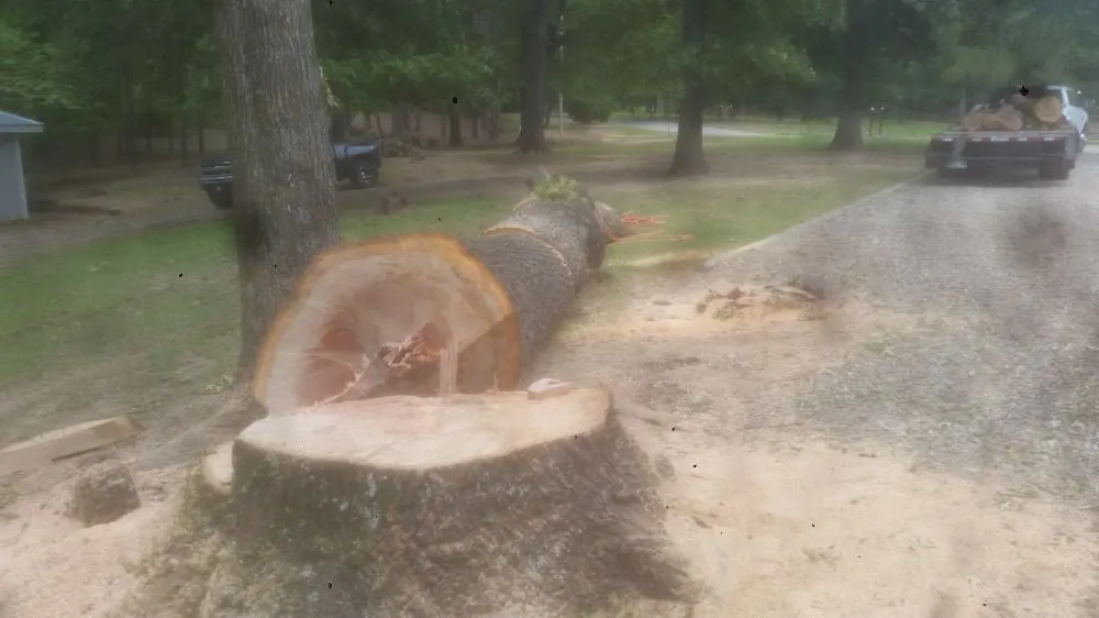 Local outdoor landscaping for year-round maintenance across Broken Bow, OK - Underwood Lawn and Tree Service