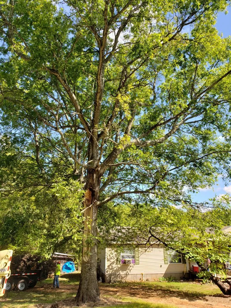 Affordable yard cleanup service in Broken Bow, OK - Underwood Lawn and Tree Service