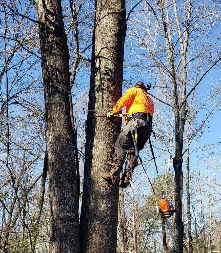 Top-rated outdoor landscaping in Broken Bow, OK by Underwood Lawn and Tree Service